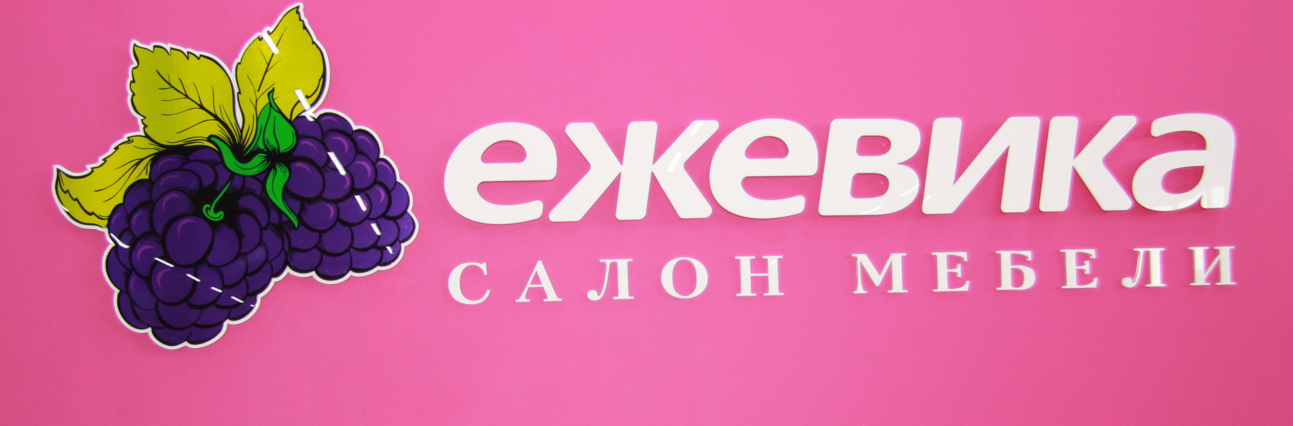 Ежевика
