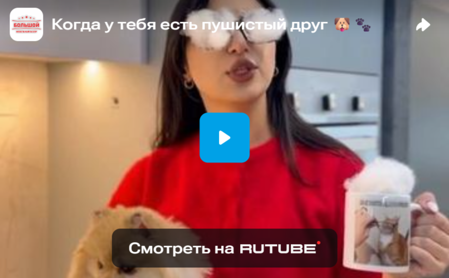 Когда у тебя есть пушистый друг