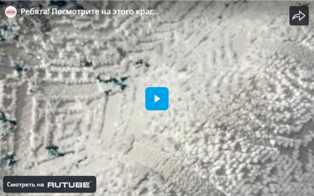Ребята! Посмотрите на этого красавца