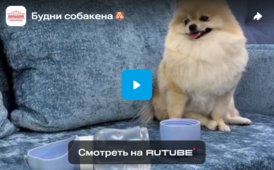 Будни собакена